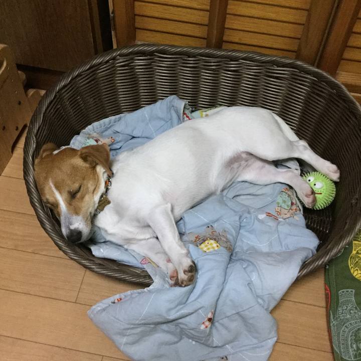 4966a293 230d 450d 85c5 499429cfcbaf