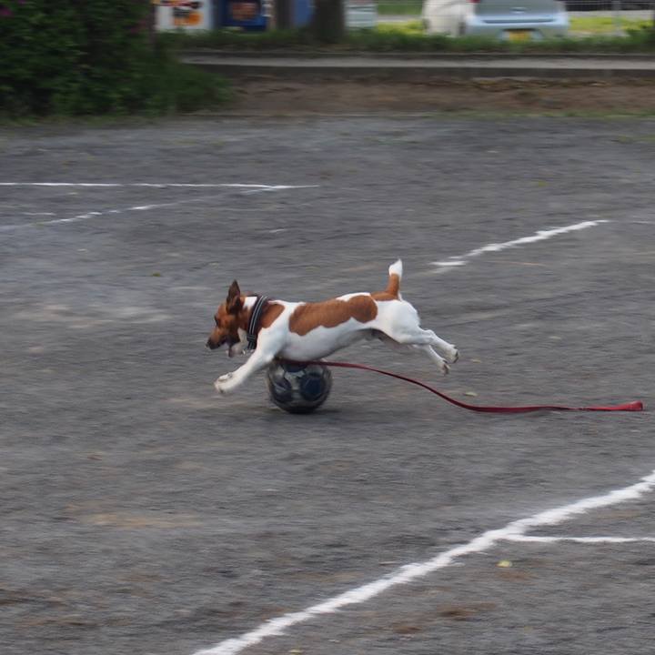 4966eb4c 34eb 4fae 9a96 7d9a1730e71b