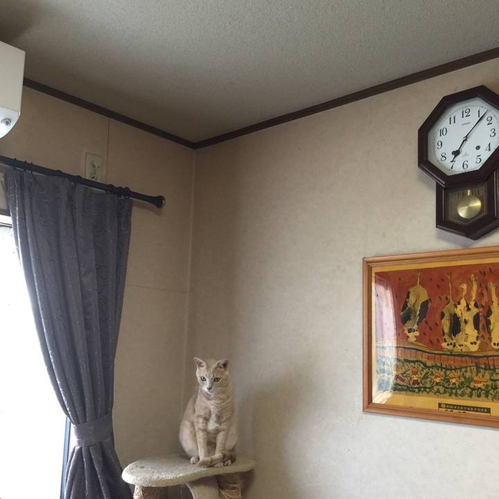 4966f491 684b 4f3b bcd2 f209e8361e0d