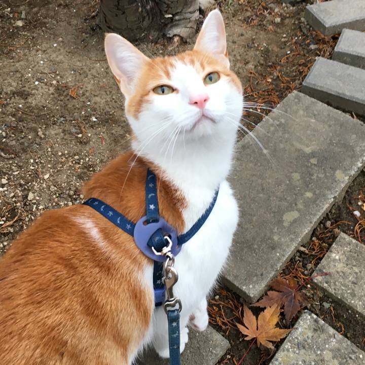 4968aad0 142c 4fe0 9180 6446f445988b