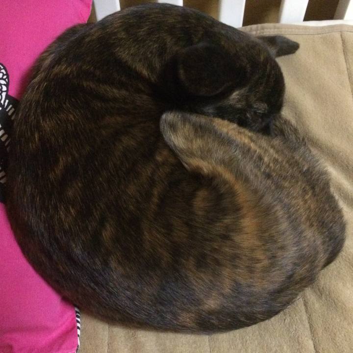 4968b4c7 5802 4dcb 922e fbd2d540051c