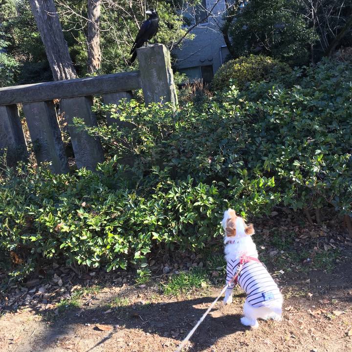 4968c174 3a03 417f 966c 203c9d30d61c