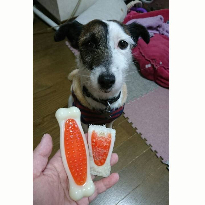 49691ccb 39ba 4f37 9639 2413d448a0b6