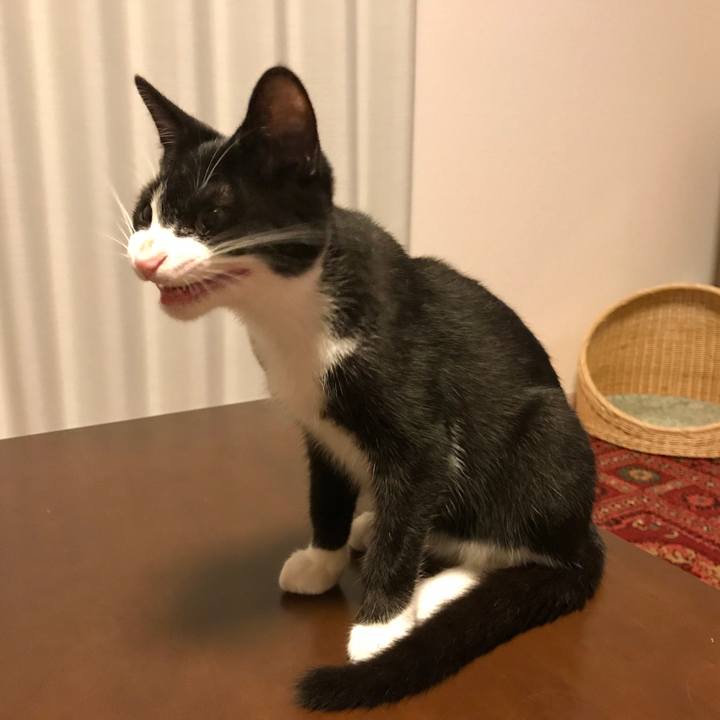 49692d82 642b 4eab 90b7 eb49a2a04b5d