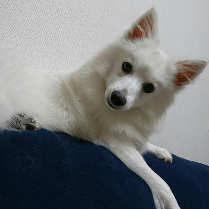 496930c3 d548 46c3 9561 64b98def488f