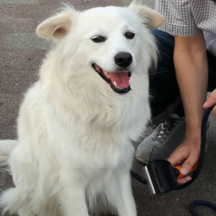 49694289 9df2 4d25 b83b 065d5456166d