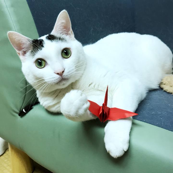 49695cc6 3e84 406e be88 48036c50beb8