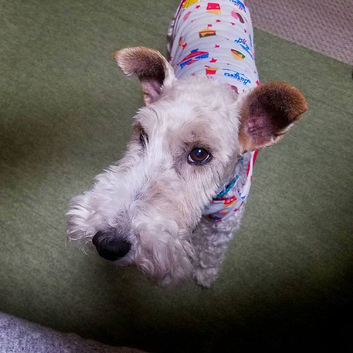 4969c784 a89c 43c2 adff 2497e6f4a95f