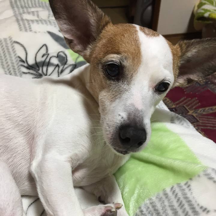 4969ce74 515d 4c14 aa6f 9bbf36600781