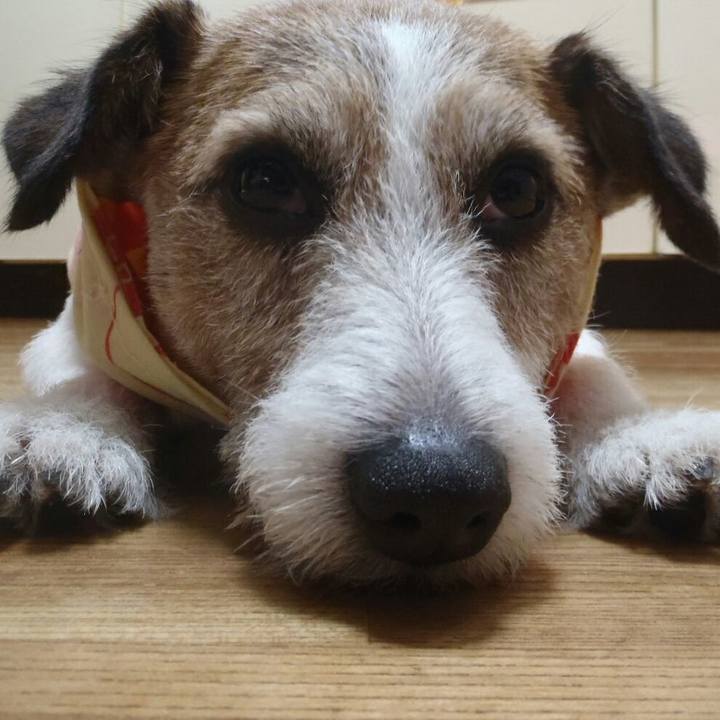 496a7500 9940 4ebd adb4 de64be523491