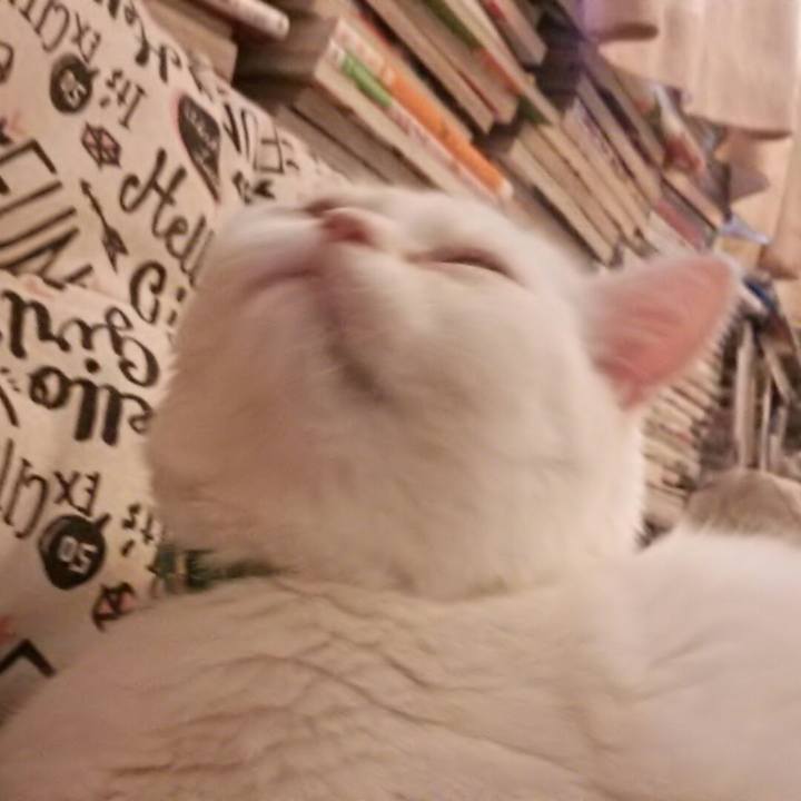 496adfdc 46f8 4aa6 8cd0 1932f8183c82