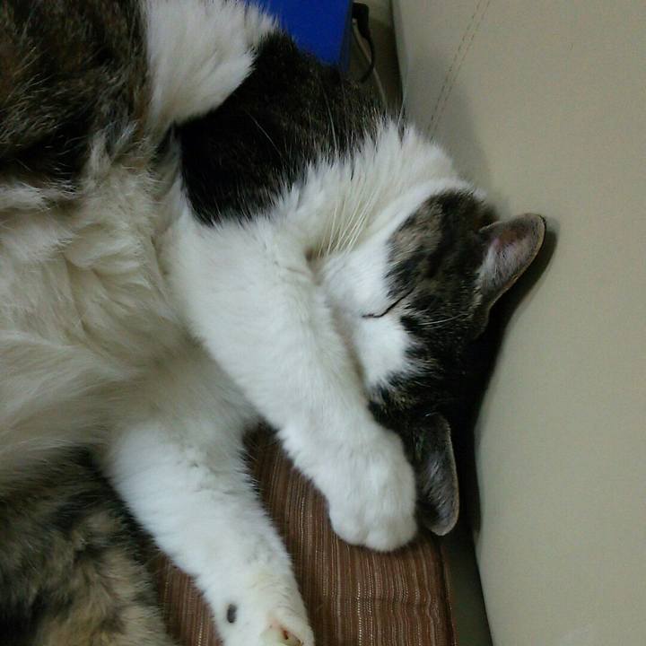 496b25d2 aa3c 49af b309 5634538c644d