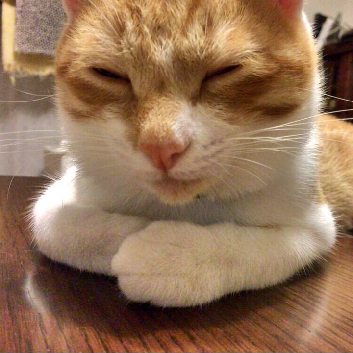 496b41ad 4239 4241 b9c9 37621026689d