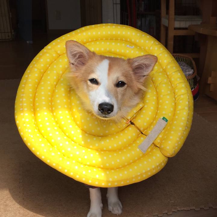 496ba306 cd00 40fb 9f3b cac045418b56