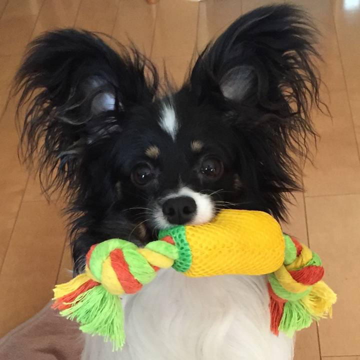 496bc763 942e 42ea b53e 984bbe35e7ba