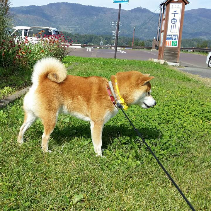 496c1ee2 382a 45fe 930b 9af7629b6987