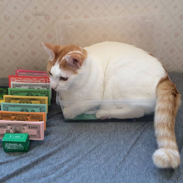 496c6e1f 6989 4d3d b11d 8af8b59747f9