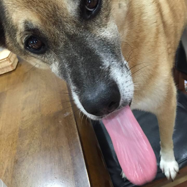 496c702c 7a30 43ca ad0d 000cdfacf9d7