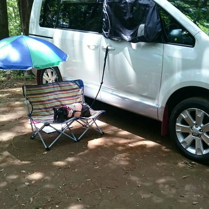 496d7f01 46d4 47b6 a833 0f35d8803e50