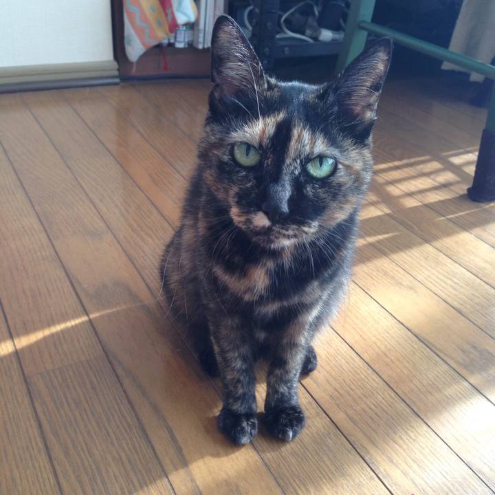 496d8f94 dfad 4738 92b5 2a7ff3203b72