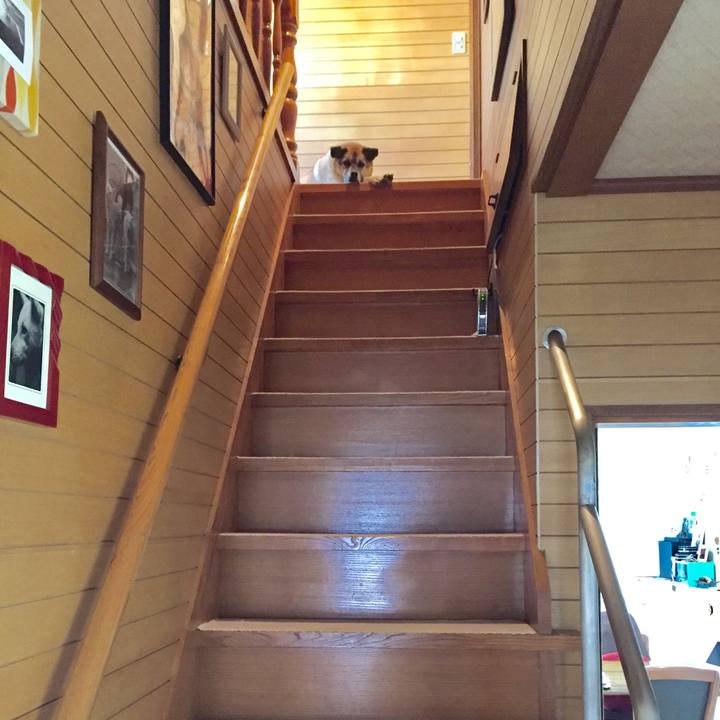 496d9e5a ee3f 42a5 a3a0 7b19fbd88e76