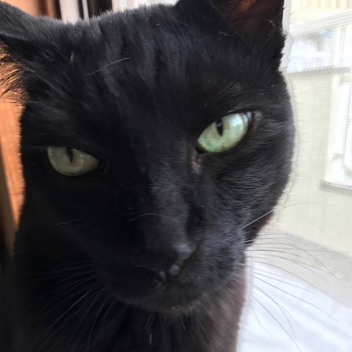 496dc6df 6d84 490a 82b8 ed049050cae7