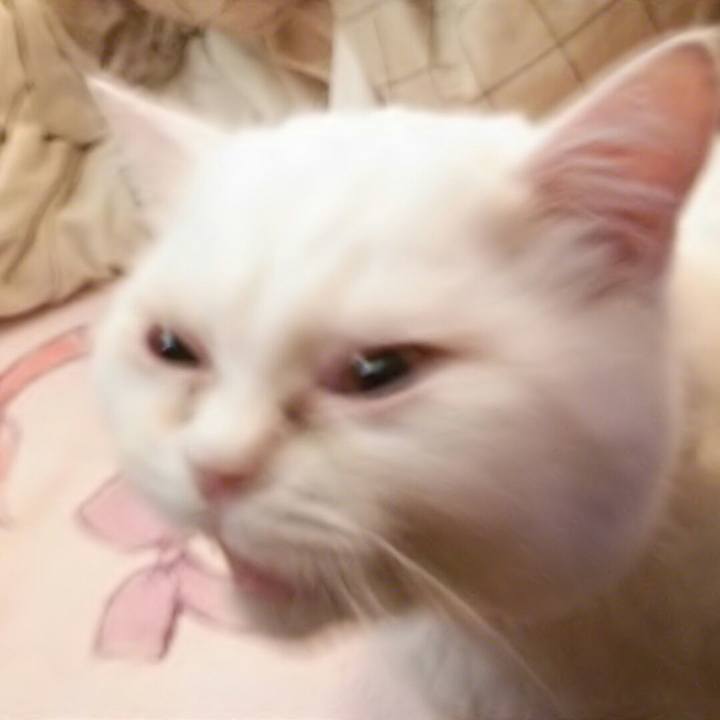 496dff9f 7875 41ce 823a d44d78009df1