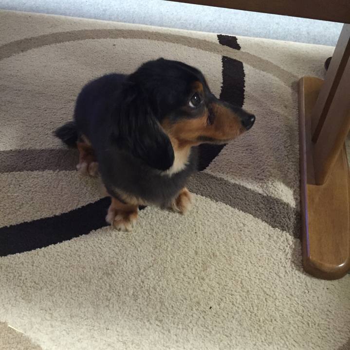 496e5075 7979 48bb 9e6d dfc4393d0f85