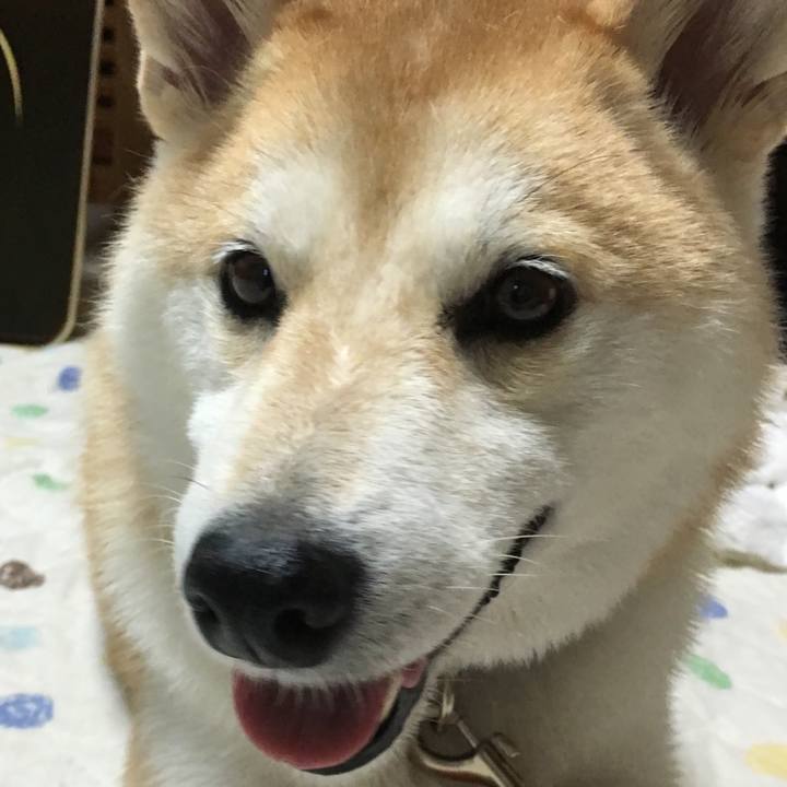 496e6bb0 c371 40e9 8442 5ca894e81fa4