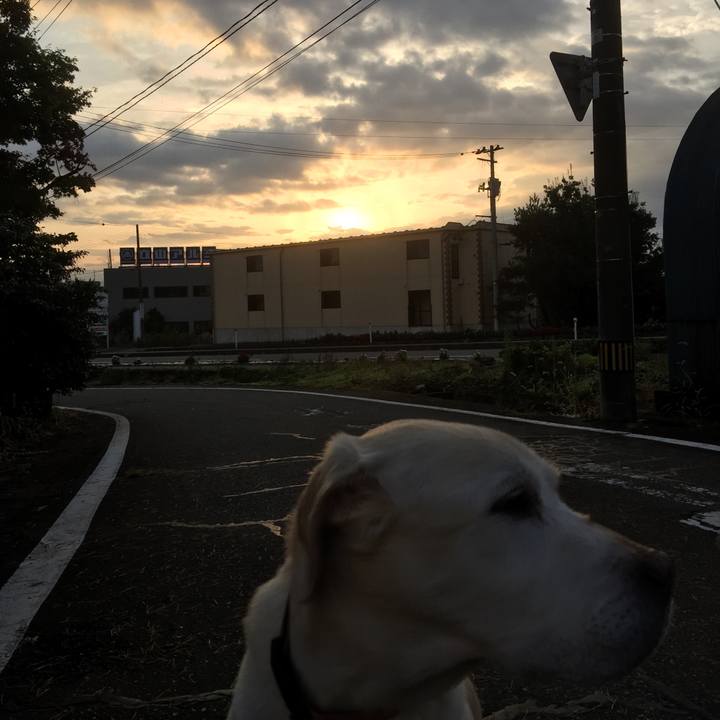 496e86a6 f792 4090 9e78 28f11c981ec3