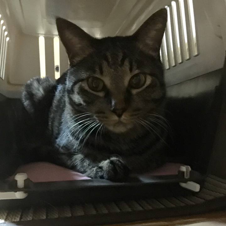 496e9d10 58ed 4f02 8f50 76220a65b5e6