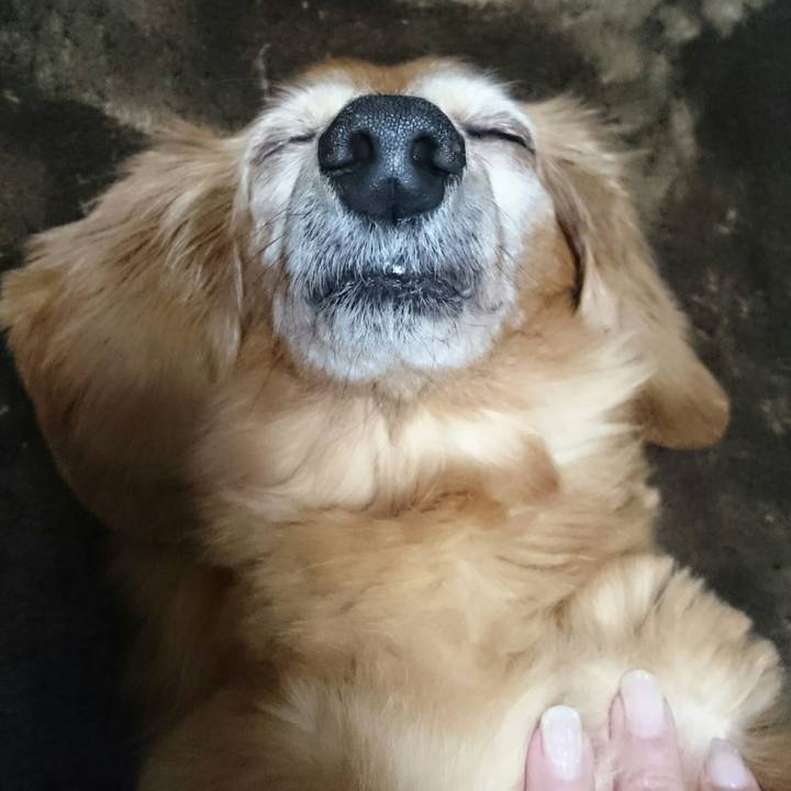 496f618e 63ea 4989 b7e6 0da7caaea0fd