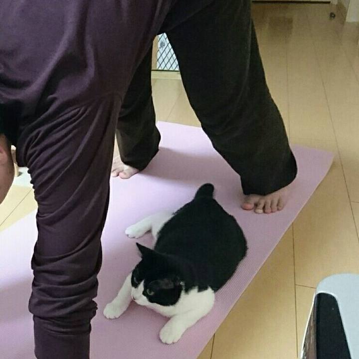 496fda83 3a06 4774 bdae a491ae43e289