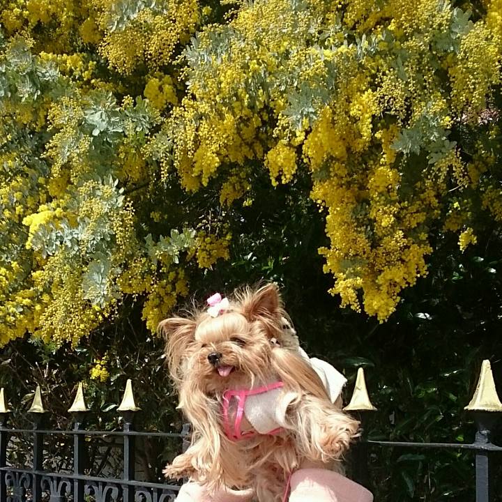 4970374a 1784 4a15 b797 50cace4d4a23