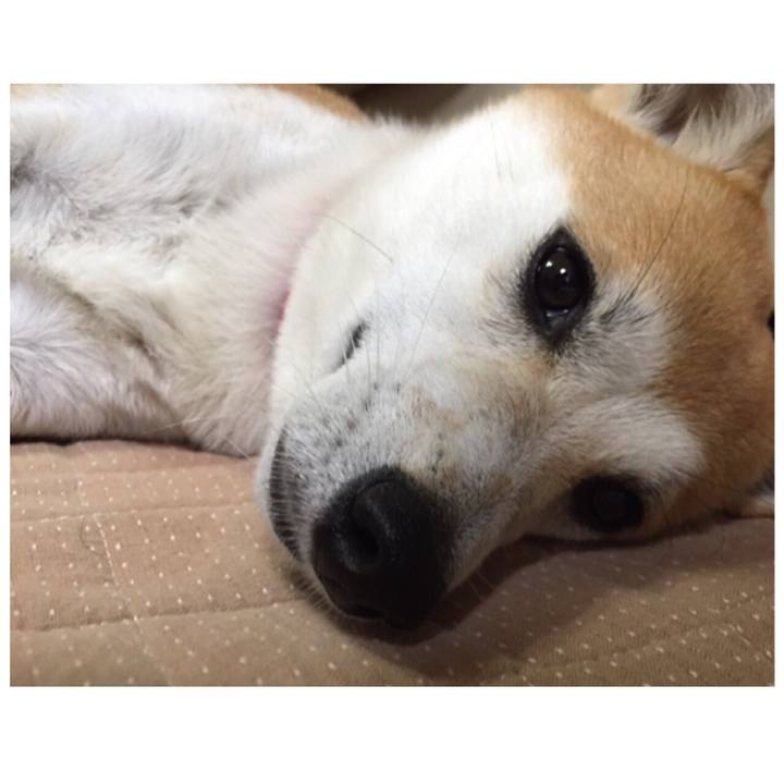 4970a4c1 32fe 481a b66b f6cb62cf58fb