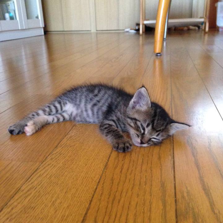 497109f4 07ec 410e 8f2b fb717b276785