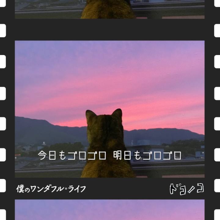 49720548 66da 4808 8ea2 51a7db7604b7