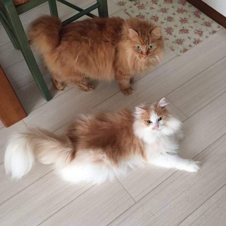 49725008 6a5a 4ffd b6fe 45bf90376c8c