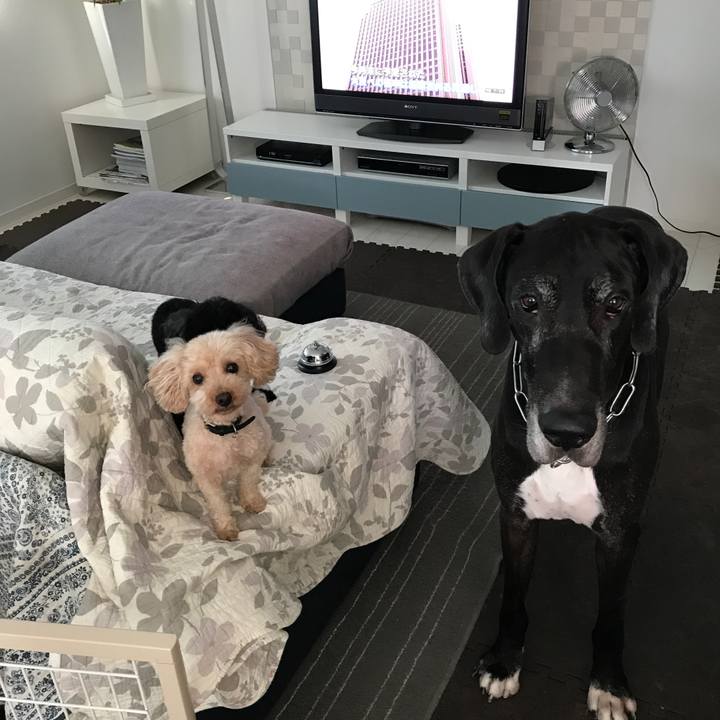 49727814 2adf 458a 939a 23c4291a473e