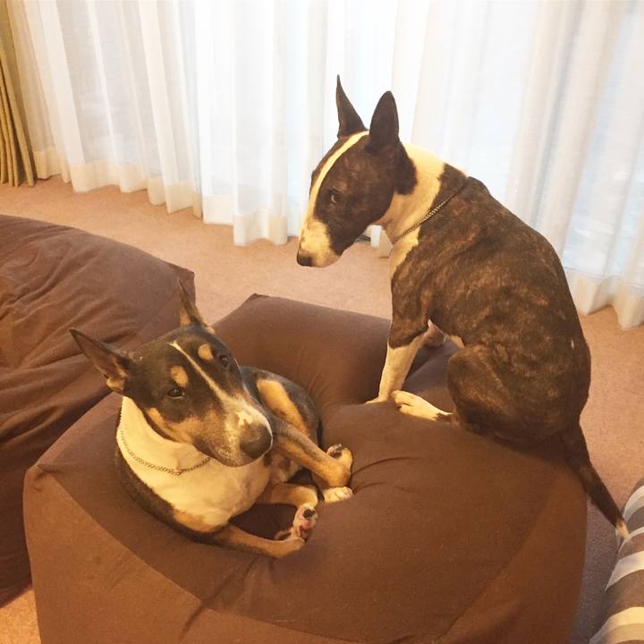 49731be5 44b2 4846 8700 5eecb5740db3