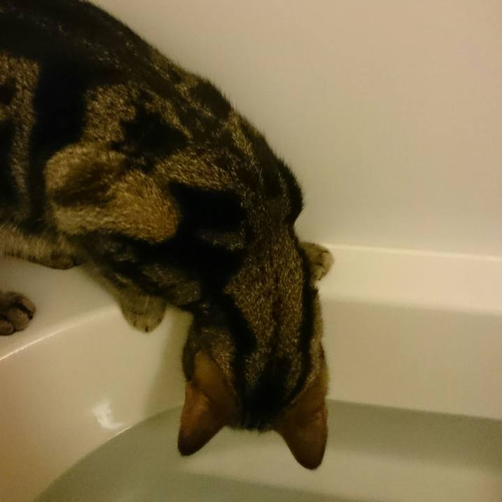 4973941d d77e 491c 99c3 e63988171cf7