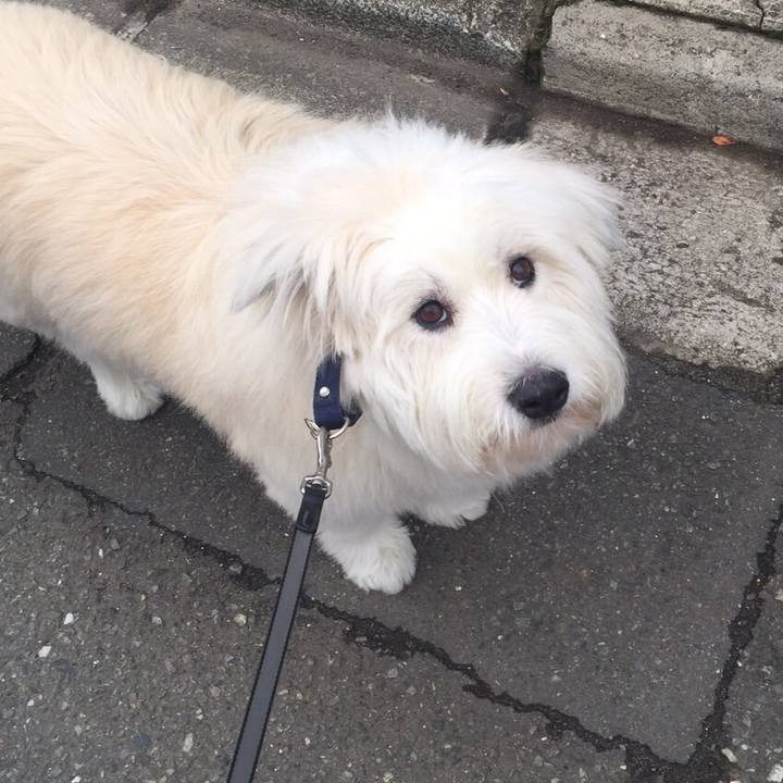 49742d89 a528 43da ab18 af5501e41e50