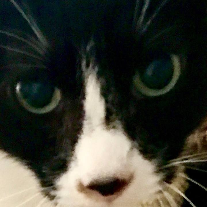 497437a5 7964 461d a7e8 1a81463a5fb3