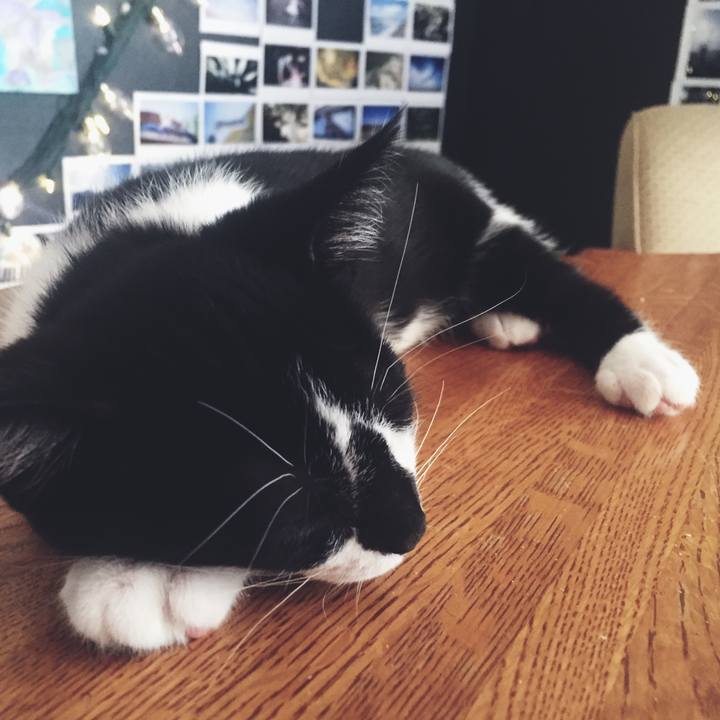 497487f0 de5e 4c35 ab0f aefc5e8b2095