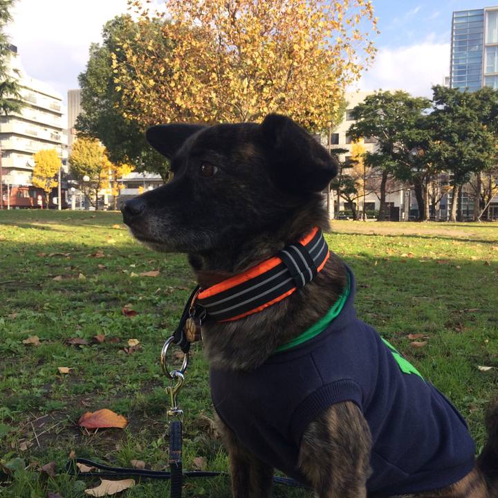 4974a14f 388f 4243 a44d b04b7e0fd7d1