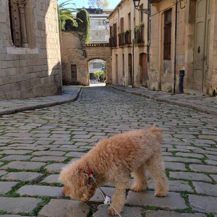 4974a22a e68e 4e7e b156 22fc51c9125b