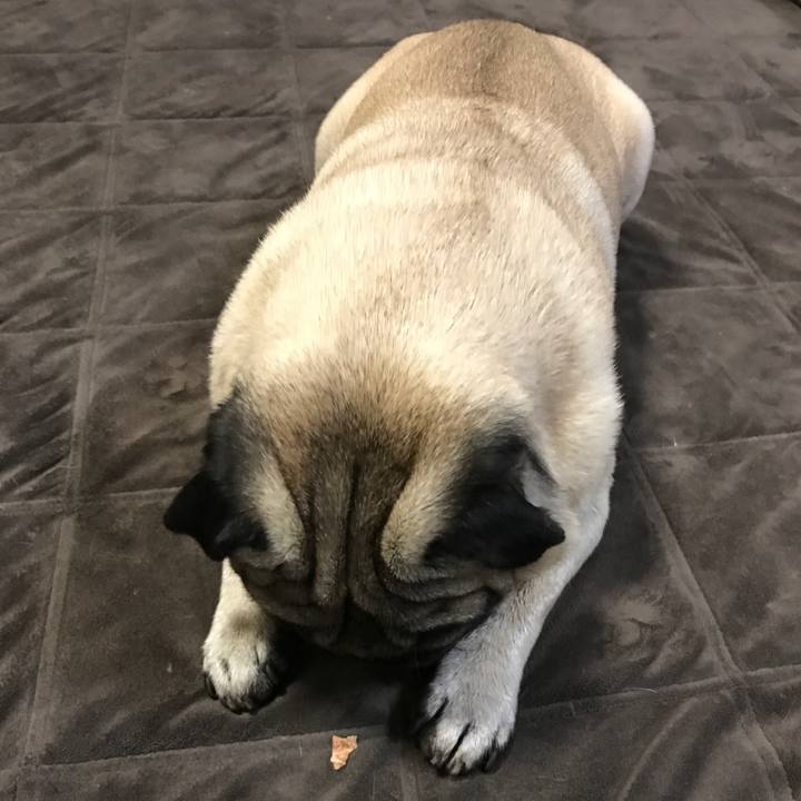 4974c2ce 4600 4166 a59c cdc0271195a3