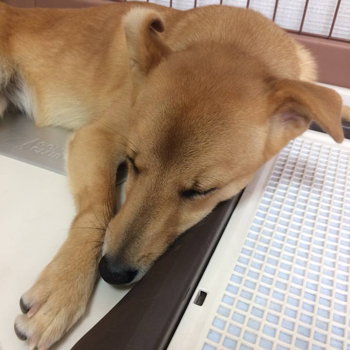 49753a08 60a5 4aed 97de 3ec90f7527f2