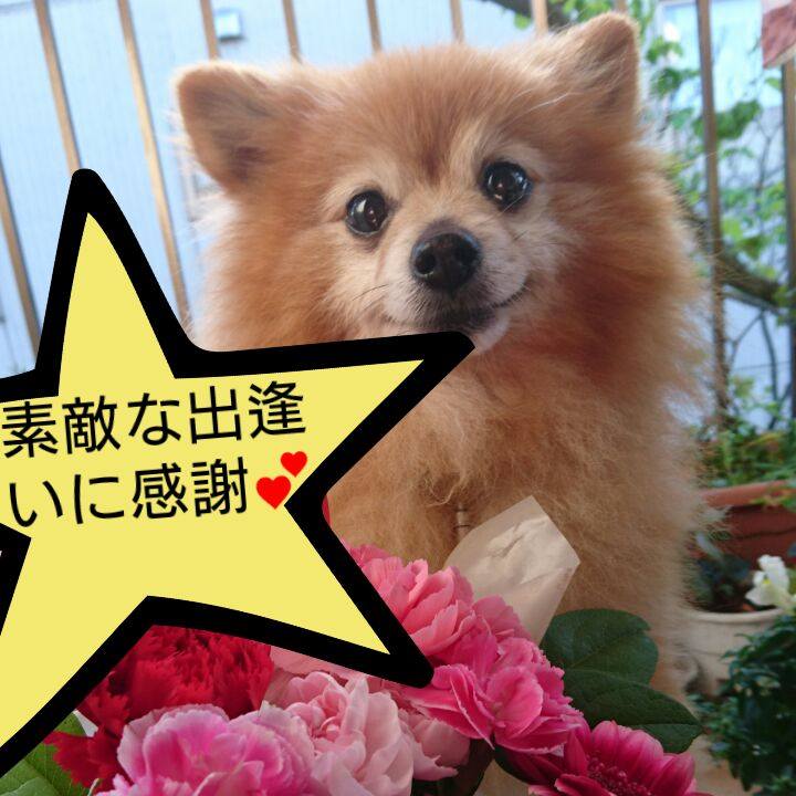 4975758f 8d04 415c b83e db45130aa894