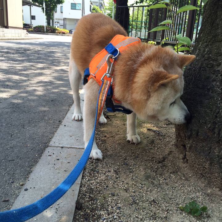 4975a14e def0 4295 beb1 4d2643ad65bc